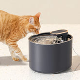 Electric Circulation Filtered Waterer For Pets